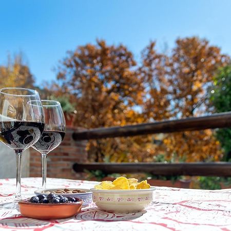 카피레이라 Casa Consuelo 아파트 외부 사진